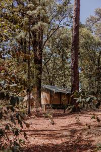 une tente au milieu des bois dans l'établissement Rodavento Boutique Hotel & Spa, à Valle de Bravo