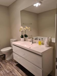W łazience znajduje się umywalka, toaleta i lustro. w obiekcie Rainforest Retreat w mieście Franz Josef