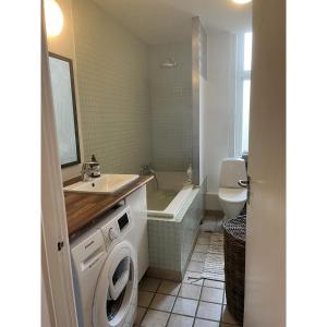 哥本哈根的住宿－ApartmentInCopenhagen Apartment 43，一间带水槽和洗衣机的浴室