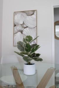 Gallery image of StayatTheBay on Bath Holiday Unit in Glenelg