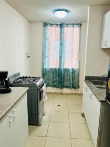 uma pequena cozinha com um fogão e uma janela em Acogedor departamento, centrico aeropuerto de Tocumen em Salsipuedes