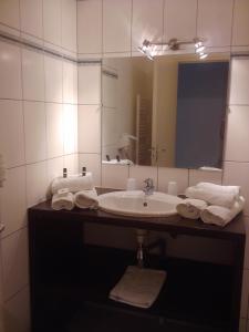 y baño con lavabo y espejo. en L'Orée des Châteaux en Bracieux