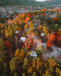 an aerial view of a forest with trees and tents at Starlight Haven Hot Springs in Hot Springs