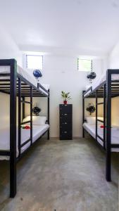Voodi või voodid majutusasutuse Sip Sunset Hostel and Lounge toas
