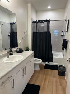 La salle de bains est pourvue d'un lavabo, de toilettes et d'une douche. dans l'établissement Devine living in the med center, à Houston