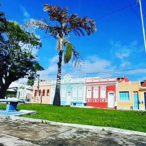 un palmier au milieu d'un parc dans l'établissement Pousada Villa do Mar, à Itaparica Town