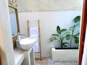 吉利阿尔Bintang Tiga Bungalows Gili Air的墙上有水槽和植物的浴室