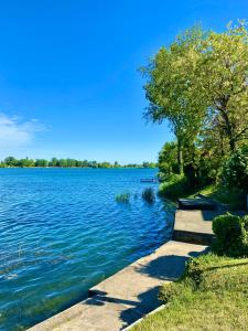 - une vue sur un lac avec des arbres et un sentier dans l'établissement Tóparti Kuckó, à Mályi
