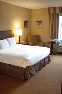 トレドにあるDelta Hotels by Marriott Toledoの大きなベッドと椅子が備わるホテルルームです。