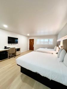 - une grande chambre avec 2 lits et un bureau dans l'établissement Nob Hill Motor Inn -Newly Updated Rooms!, à San Francisco