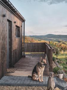 einem Hund, der auf einer hölzernen Veranda eines Gebäudes sitzt in der Unterkunft Nomads' Hill in Poraż