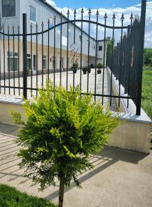 a small tree in front of a fence at Adriana Touristik Hostel 3 Stele Arad in Arad