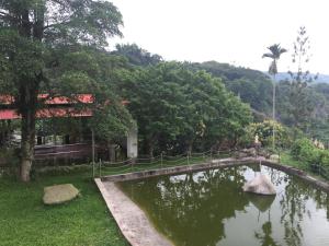 古坑鄉的住宿－山峰民宿，树屋前的池塘