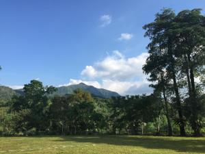 ein Feld mit Bäumen und Bergen im Hintergrund in der Unterkunft Shan Feng B&B in Gukeng