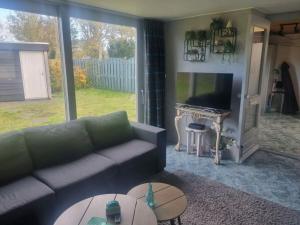 un salon avec un canapé et une cheminée dans l'établissement Huijsmans Verhuur Type de Luxe Plus Mosselbank, à Ouddorp