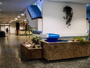 バート・ハルツブルクにあるFerienwohnung Mester mit Schwimmbad Saunaの建物中央に噴水のあるロビー +31枚の写真