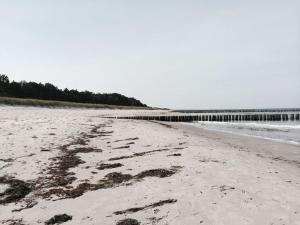 una playa con algas en la arena y un muelle en Boddensurfer 2a Comfortable holiday residence, en Pruchten