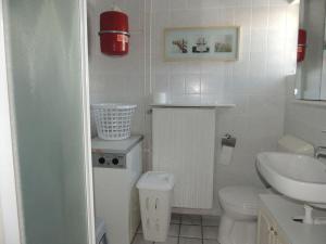 a white bathroom with a toilet and a sink at Huijsmansverhuur Type de Luxe plus Haringvliet 173 in Ouddorp +26 photos