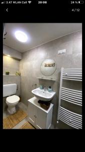 uma casa de banho com um lavatório branco e um WC. em Tannenhof Apartment em Steinhaus am Semmering