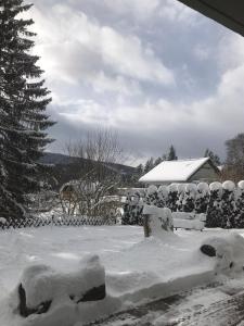 a yard covered in snow with a fence at Tannenhof Apartment in Steinhaus am Semmering