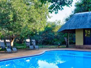 a swimming pool with chairs and a gazebo at Kubu Safari Lodge in Hoedspruit
