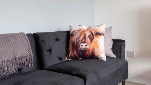 un dipinto di una mucca su un cuscino su un divano di Blairmuire House a Broxburn