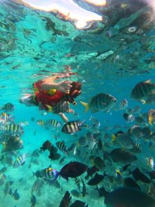 a diver in the water with a school of fish at The Hawk's Nest Resort in Sabong