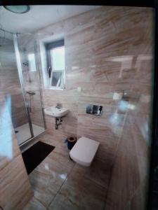 a bathroom with a toilet and a sink and a shower at Holiday House in Krynica Morska +27 photos