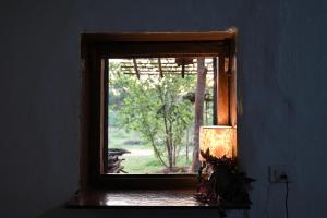 Bastar Birds Nest外面的花园