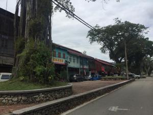 a tree on the side of a street at Country View Inn in Sungai Lembing