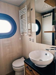 a bathroom with a sink and a toilet and a mirror at Führerscheinfreies mobiles Hausboot in Rechlin