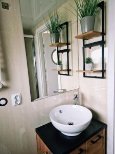 a bathroom with a sink and a mirror at Führerscheinfreies mobiles Hausboot in Rechlin