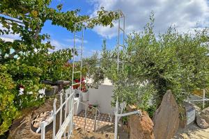 um jardim com um portão branco e algumas plantas em Casa Ambra em Panarea