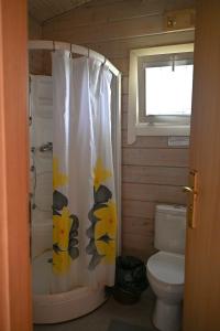 クライペダにあるGirulių poilsiavietės namelis - IXのバスルーム(トイレ、花のシャワーカーテン付)