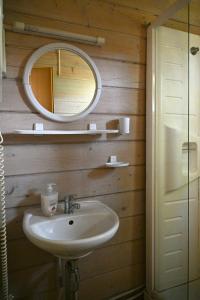 クライペダにあるGirulių poilsiavietės namelis - IXの洗面台と鏡のあるバスルーム