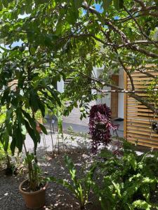 un jardin avec des arbres et des plantes devant un bâtiment dans l'établissement Pare LODGE TAHITI, à Pirae