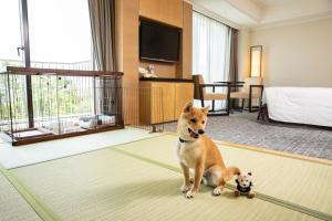 Domácí mazlíčci ubytovaní s hosty v ubytování Hilton Odawara Resort & Spa + 37 fotografií