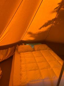 Bell tent Binnen Duin في 't Horntje: سرير في خيمة مع السماء في الخلفية