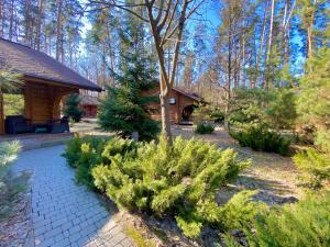 un patio con una cabaña de madera y algunos arbustos en Resort Stariy Prud, en Filippovichi