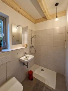 y baño con lavabo, aseo y espejo. en Waldhaus Tiedtke, en Wedemark