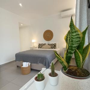 ein Schlafzimmer mit einem Bett und zwei Topfpflanzen in der Unterkunft Maison Kalogiannis in Patitiri