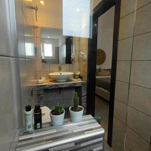 ein Badezimmer mit einem Waschbecken und zwei Pflanzen auf einer Theke in der Unterkunft Maison Kalogiannis in Patitiri