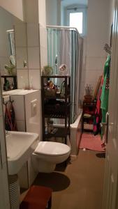 a bathroom with a toilet and a sink and a shower at Cozy room in Neukölln , Kreuzberg in Berlin