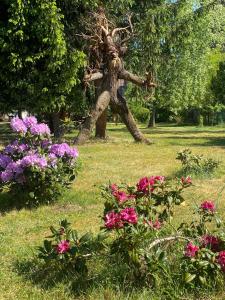 Galeriebild der Unterkunft Pension Haus zum See GbR in Markische Heide