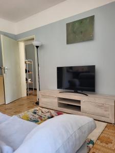 a living room with a large flat screen tv at Dreamapartment 4 Roomlake in Lugano