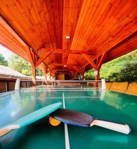 a swimming pool with two paddles on top of it at Mátyus Udvarház Kengyel Fogadó Eger in Eger