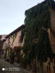 un edificio con l'edera che cresce sul lato di Casa Demetrio a Mirambel