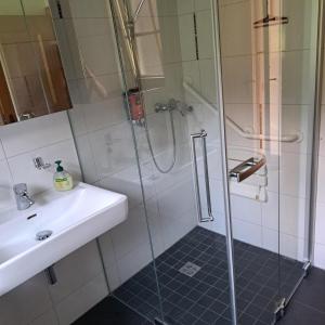 a bathroom with a shower and a sink at Ferienwohnung Schlemmer Romed Dolomitenblick in Nußdorf +14 photos
