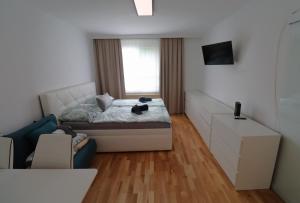 ein Schlafzimmer mit einem Bett, einem Sofa und einem TV in der Unterkunft Exclusive serviced flat on Taborstraße in Wien