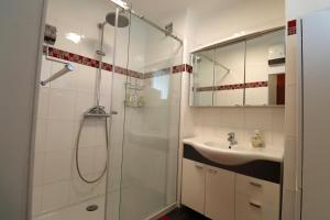 ein Bad mit einer Dusche und einem Waschbecken in der Unterkunft Exclusive serviced flat on Taborstraße in Wien